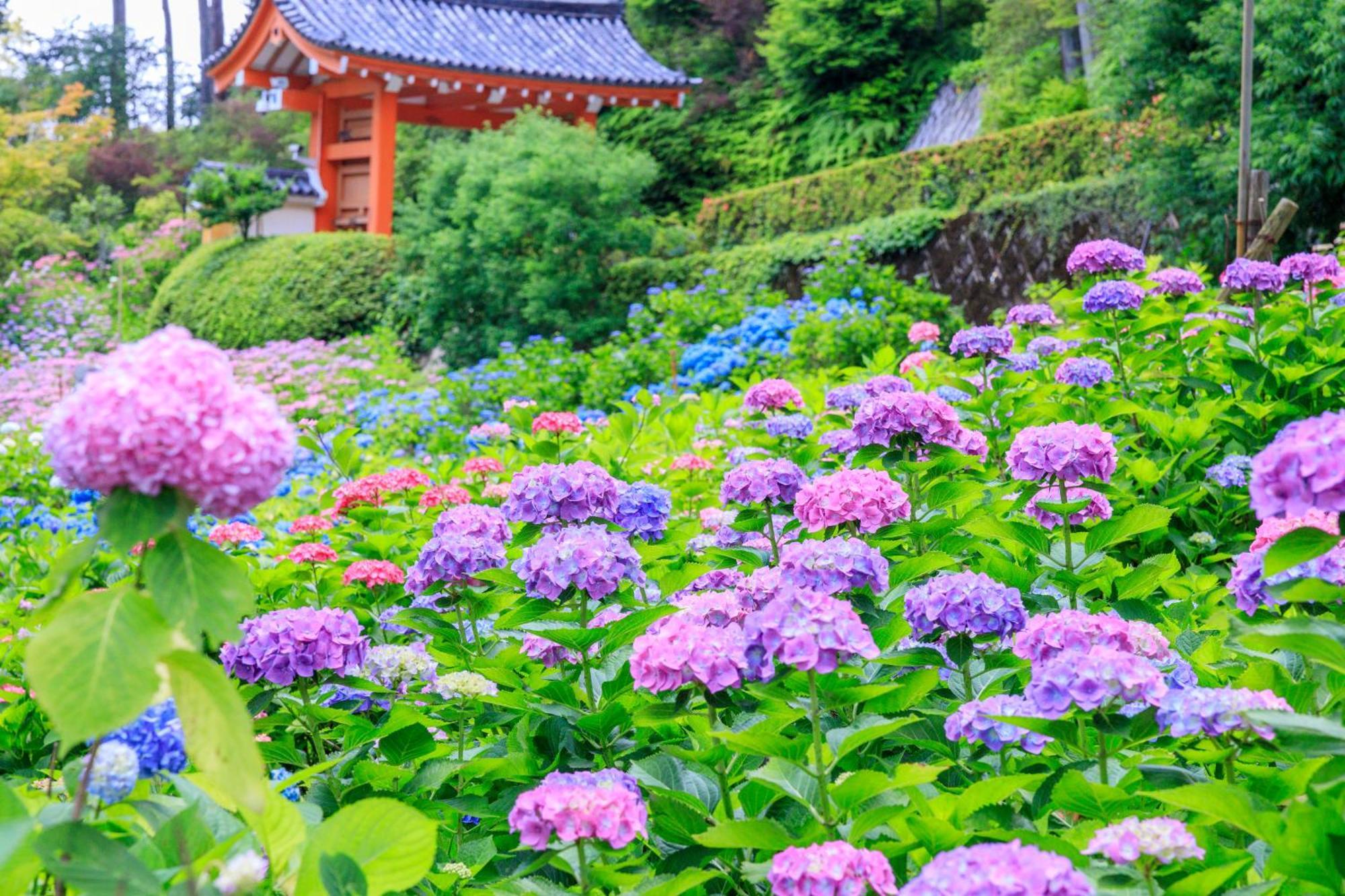 Mimaru Suites Kyoto Central Luaran gambar